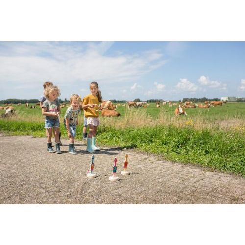 BS Toys BS Ringwerpen Vogels (BSGA382) - B-Toys Keerbergen