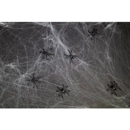 Folat Spinnenweb Wit 100gr Met Spinnen