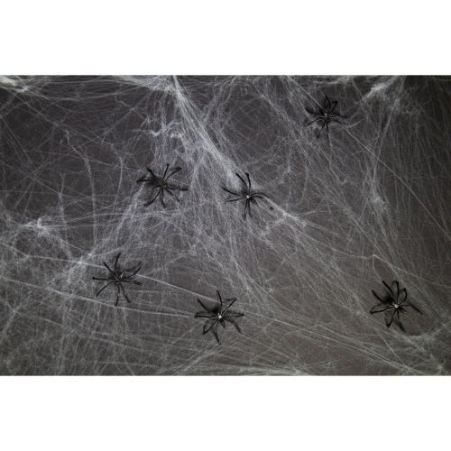 Folat Spinnenweb Wit Met 6 Spinnen 500g
