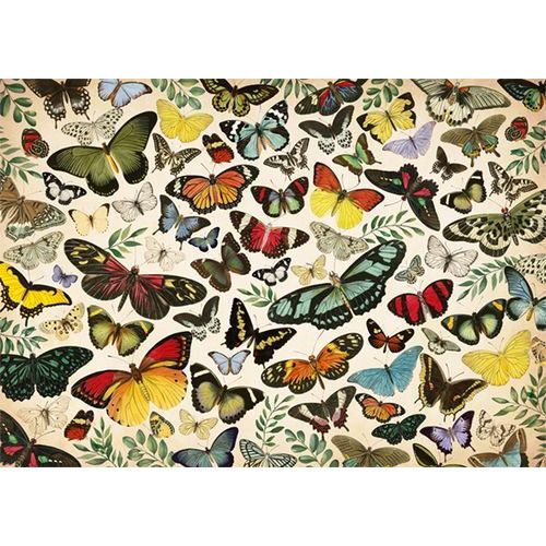 Jumbo PC Butterfly Poster 1000st (18842) - B-Toys Keerbergen