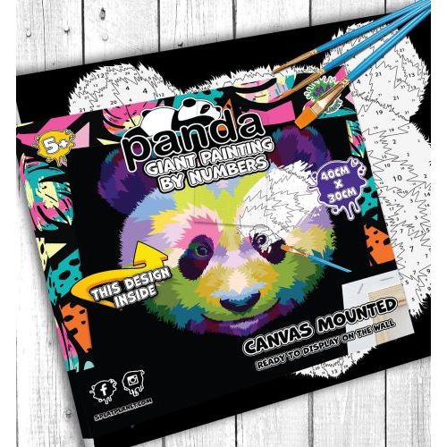 Lannoo Panda Paint By Numbers (SPPBNPAN) - B-Toys Keerbergen