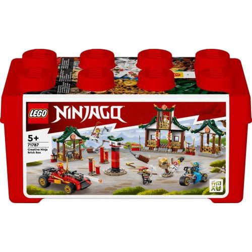 Lego Creatieve Ninja Opbergdoos