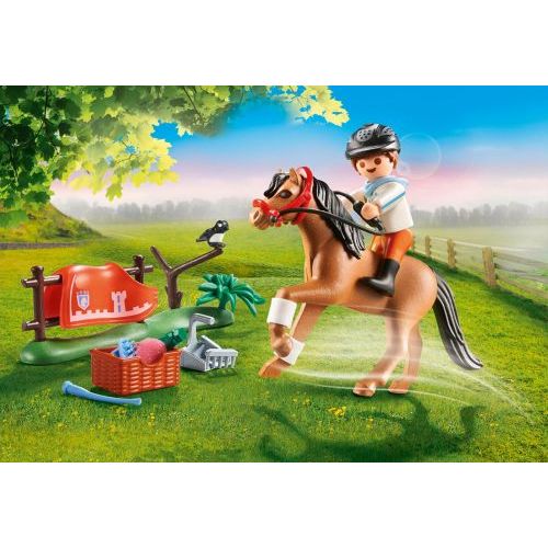 Playmobil Verzamelpony 'Connemara' (70516) - B-Toys Keerbergen