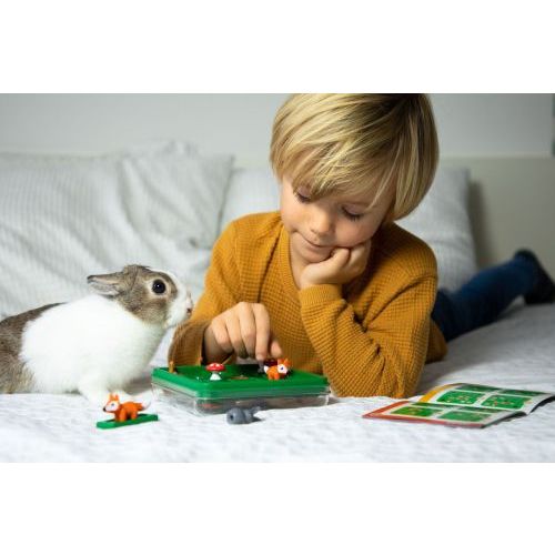 Smart Games Jump In' (SG 421) - B-Toys Keerbergen